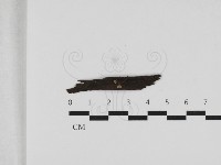 藏品(墾丁小菇)的圖片