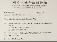 藏品()的圖片