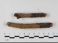 藏品(刺革菌屬)的圖片