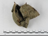 藏品(柄銹菌屬)的圖片