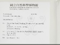 藏品(齒耳菌屬)的圖片