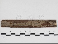 藏品(刺革菌屬)的圖片