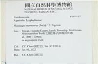 藏品()的圖片