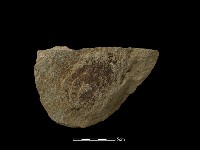 藏品(砍砸器)的圖片