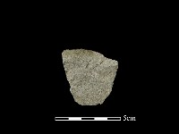 藏品(磨製斧鋤形器)的圖片