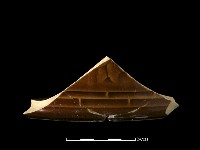 藏品(陶罐)的圖片