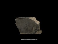 藏品(瓦片)的圖片