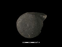 藏品(瓦當)的圖片