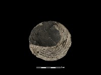 藏品(瓦當)的圖片