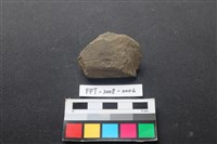 藏品(磨製石器)的圖片