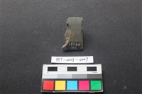 藏品(磨製石器)的圖片