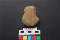 藏品(網墜)的圖片