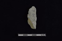 藏品(板岩片)的圖片