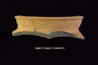 藏品(陶罐)的圖片