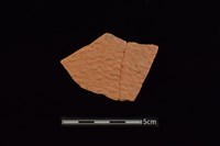 藏品(陶片)的圖片