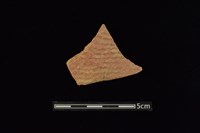 藏品(陶片)的圖片