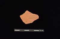 藏品(陶片)的圖片