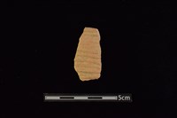 藏品(陶片)的圖片