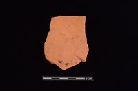 藏品(陶片)的圖片