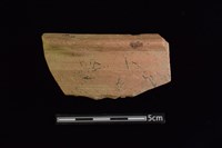 藏品(陶缽)的圖片