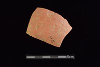 藏品(陶片)的圖片