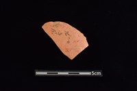 藏品(陶片)的圖片