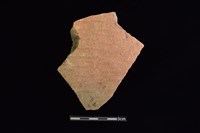 藏品(陶片)的圖片