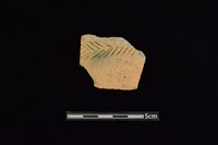 藏品(陶罐)的圖片