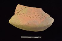 藏品(陶缽)的圖片