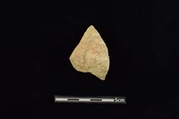 藏品(陶片)的圖片