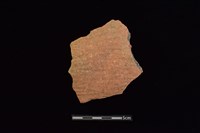 藏品(陶片)的圖片