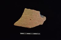 藏品(陶片)的圖片