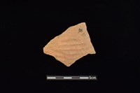 藏品(陶片)的圖片