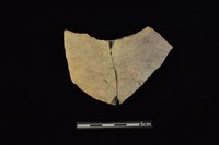 藏品(陶片)的圖片