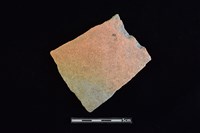 藏品(陶片)的圖片