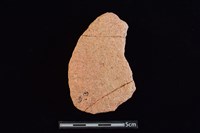 藏品(陶片)的圖片