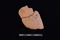 藏品(陶片)的圖片