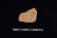 藏品(陶片)的圖片