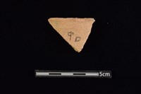 藏品(陶片)的圖片