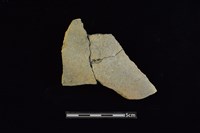 藏品(陶片)的圖片