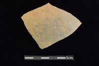 藏品(陶片)的圖片