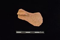 藏品(陶罐)的圖片