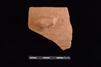 藏品(陶缽)的圖片