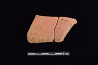 藏品(陶片)的圖片