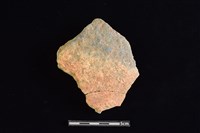 藏品(陶片)的圖片