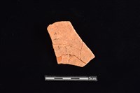 藏品(陶片)的圖片