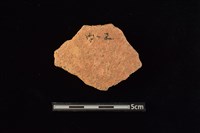 藏品(陶片)的圖片