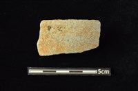 藏品(陶罐)的圖片