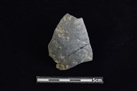 藏品(陶片)的圖片