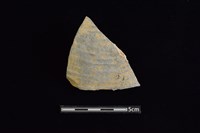 藏品(陶片)的圖片